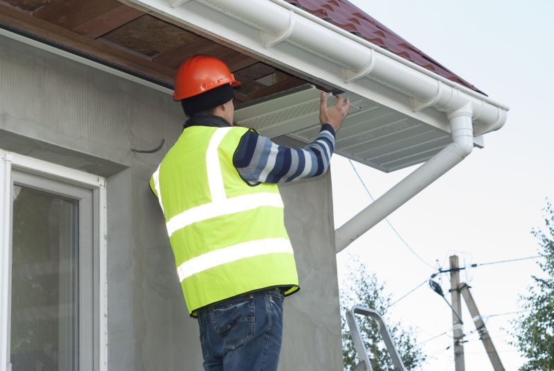 Gutter and Eave Experts
